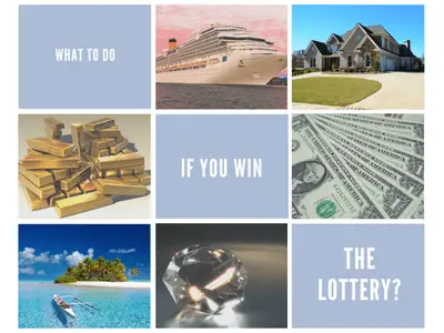 What To Do If You Win The Lottery The Ultimate Guide Lotto Library   What To Do If You Win The Lottery 