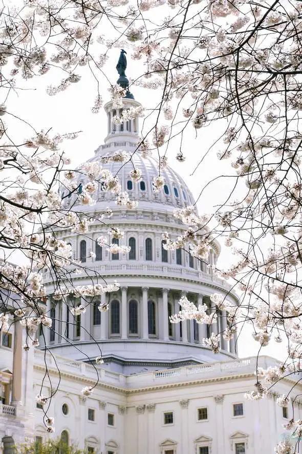 State Lottery Tax in Washington